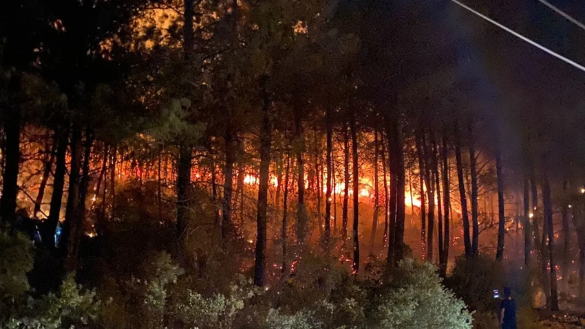  Muğla'da Orman Yangını