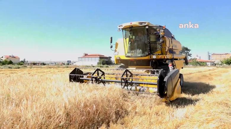 TÜİK: Tarım-ÜFE ağustosta yüzde 21,91 arttı, aylık bazda yüzde 0,93 geriledi
